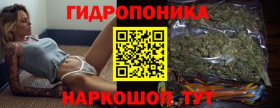 Альфа ПВП Обь