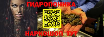 Альфа ПВП Обь