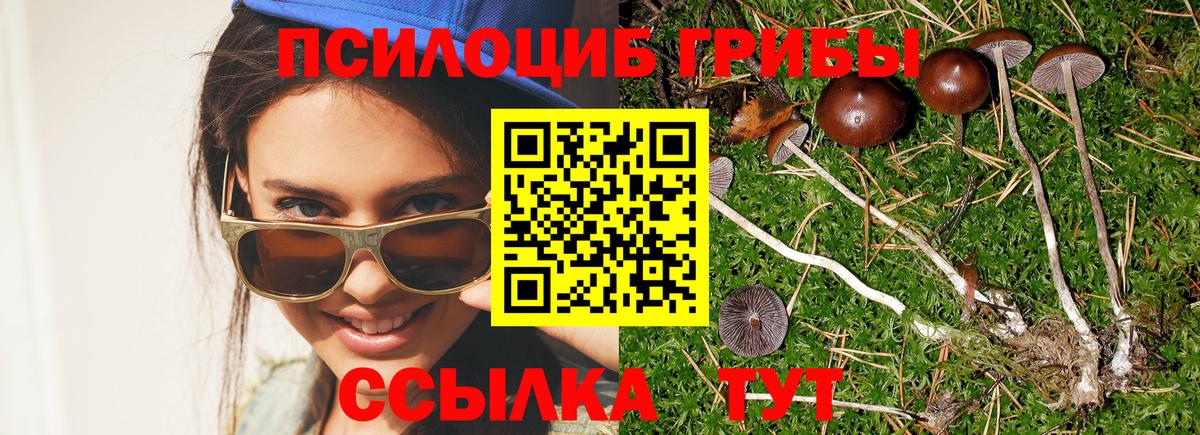 Псилоцибиновые грибы мицелий  Вход с VPN  Псилоцибиновые грибы мухоморы  Советск 